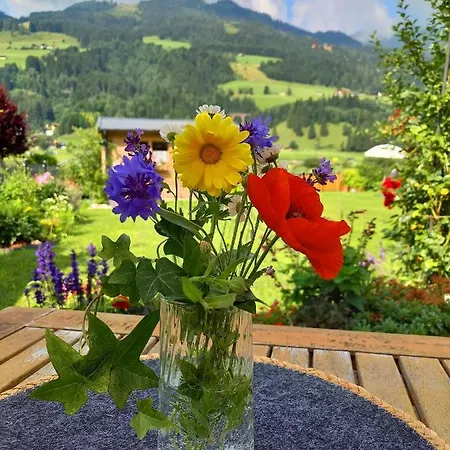 Haus Sonja - Premium Partner Alpentherme Gastein *