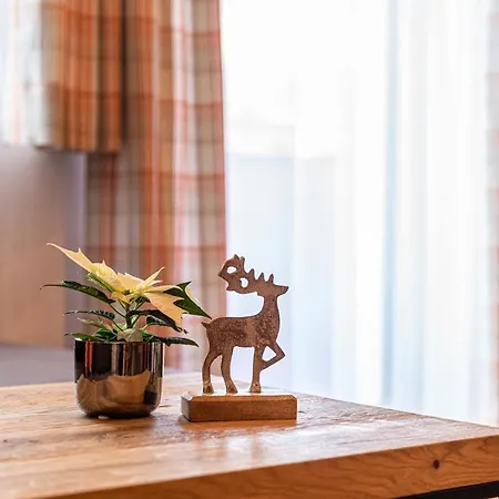 Haus Sonja - Premium Partner Alpentherme Gastein * Bad Hofgastein