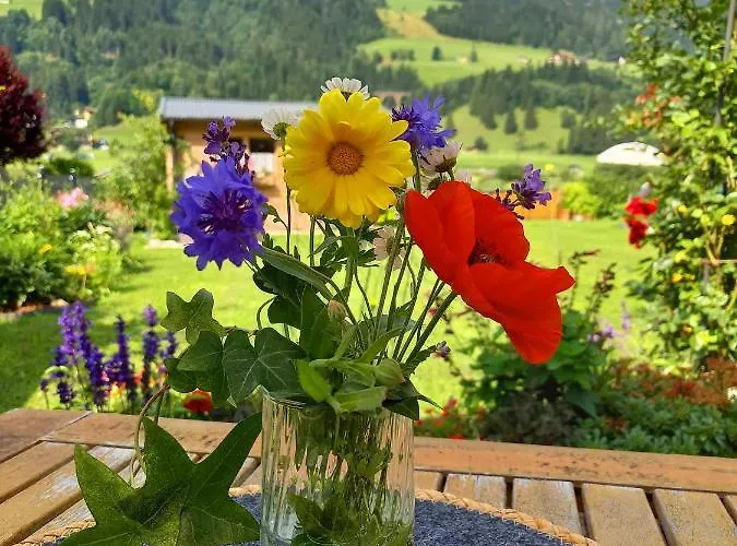 Haus Sonja - Inklusive Eintritt In Alpentherme Gastein *